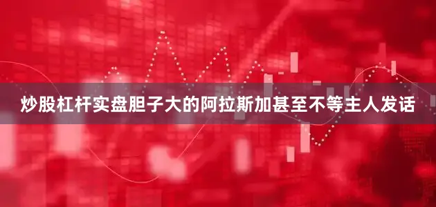 炒股杠杆实盘胆子大的阿拉斯加甚至不等主人发话