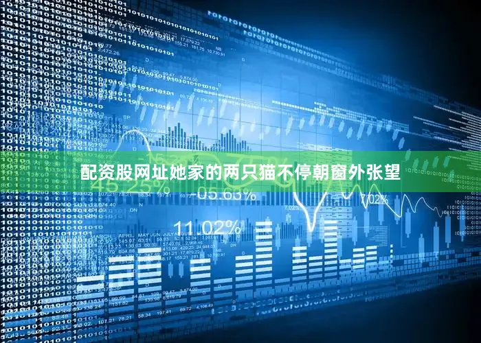 配资股网址她家的两只猫不停朝窗外张望